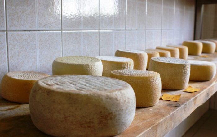Facciamo il formaggio con il pastore