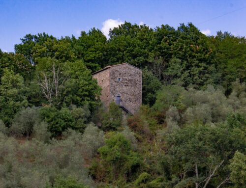 THE TOWER IN THE WOODS – CASA TORRE DI CANALE