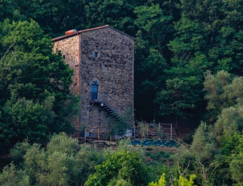 The Tower in the Woods – Casa Torre di Canale