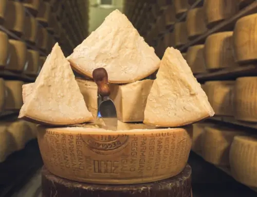 Visit the Parmigiano Reggiano cheese factory