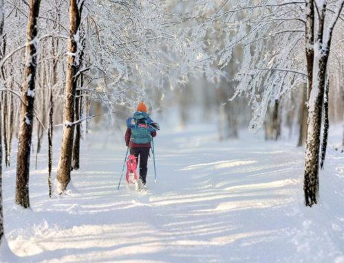 Snowshoeing in Lunigiana