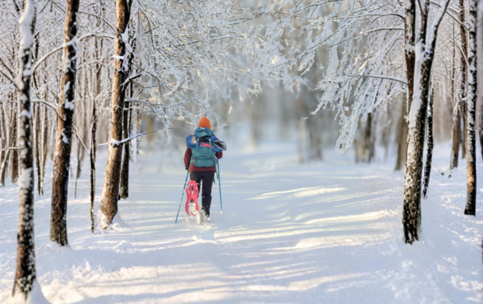 Con le ciaspole, prova le nostre escursioni nell'Appennino Tosco Emiliano innevato con le Guide Ambientali Escursionistiche di Sigeric.