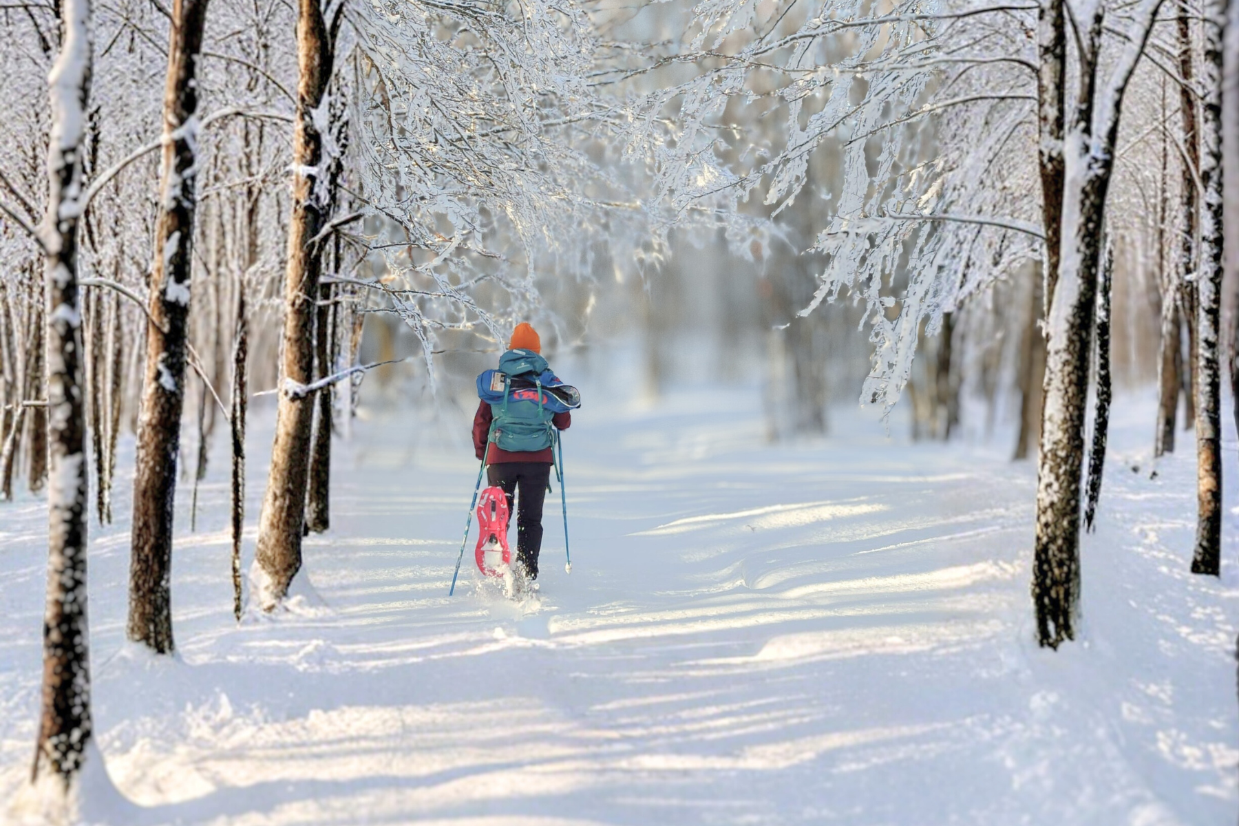 Con le ciaspole, prova le nostre escursioni nell'Appennino Tosco Emiliano innevato con le Guide Ambientali Escursionistiche di Sigeric.