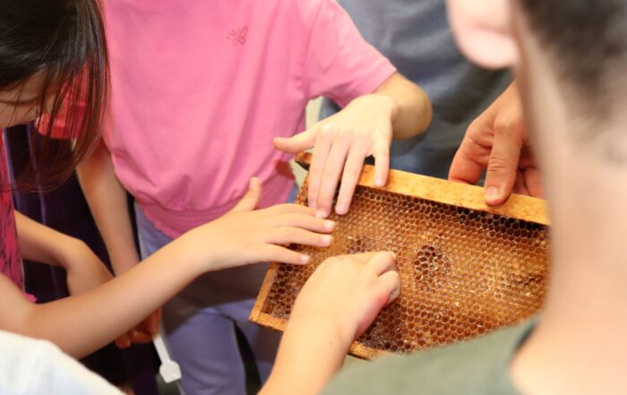 Visita guidata alla Mieleria Collettiva di Toscana Miele al Pungiglione per conoscere i mieli di Acacia e Castagno della Lunigiana DOP.