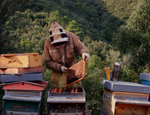 Visita una Mieleria con i mieli della Lunigiana DOP