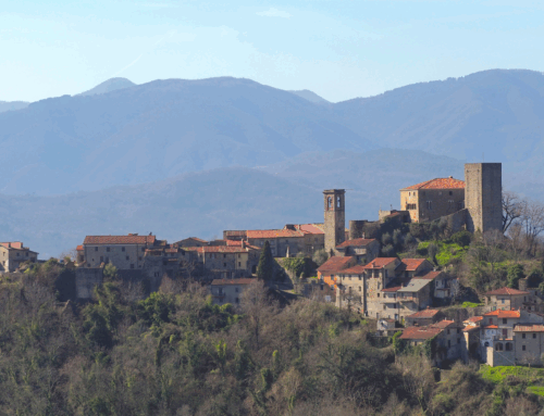 Visite guidate al Castello di Castiglione del Terziere