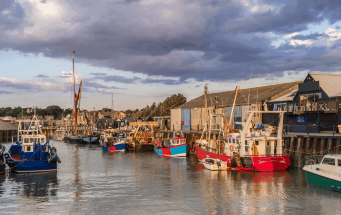 Scopri il Kent con Sigeric dal 18 al 21 settembre 2025: viaggio in Inghilterra tra Canterbury, Whitstable e Dover