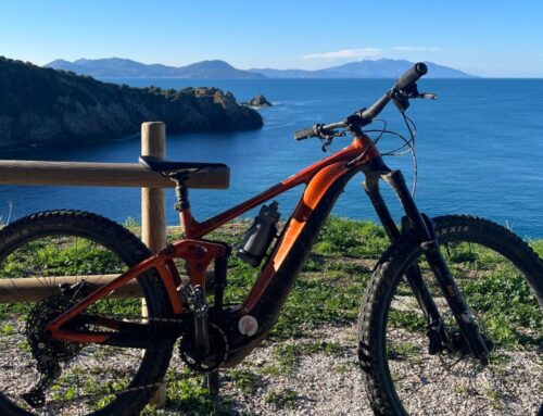 MTB Wild Ride Experience 2026