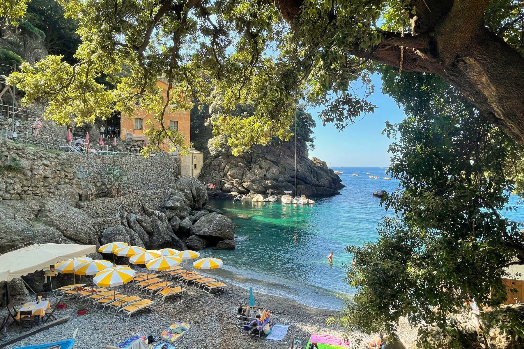 Il Tesoro di San Fruttuoso: Caccia al Tesoro Didattica tra Mare, Storia e Natura. Scoprite con i vostri alunni la natura, la storia e l'educazione ambientale a San Fruttuoso, nell’Area Marina Protetta di Portofino.