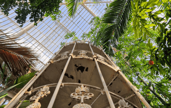 Londra: giardini storici e rooftop dal 16 al 19 luglio 2026 Scopri Londra come non l’hai mai vista tra giardini nascosti, rooftop panoramici, parchi storici e angoli segreti tra natura, arte e cultura.