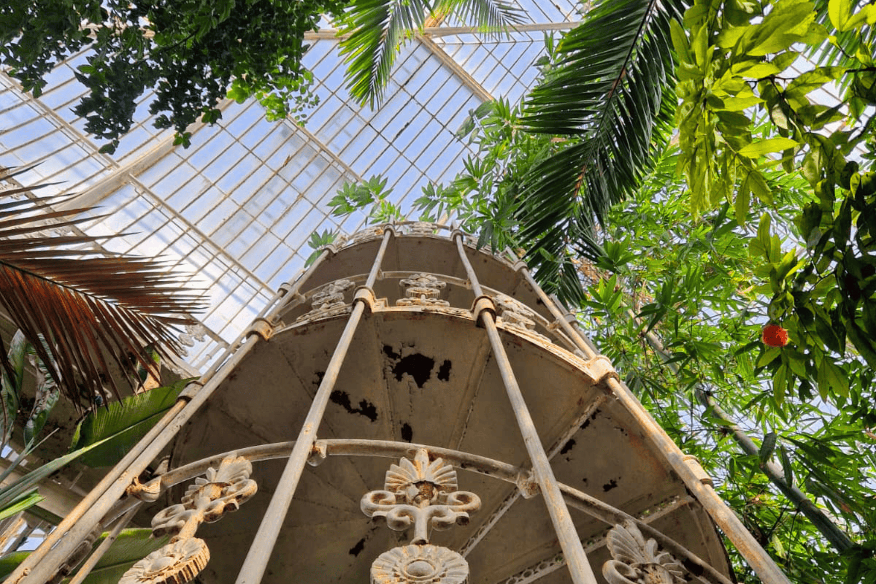 Londra: giardini storici e rooftop dal 16 al 19 luglio 2026 Scopri Londra come non l’hai mai vista tra giardini nascosti, rooftop panoramici, parchi storici e angoli segreti tra natura, arte e cultura.