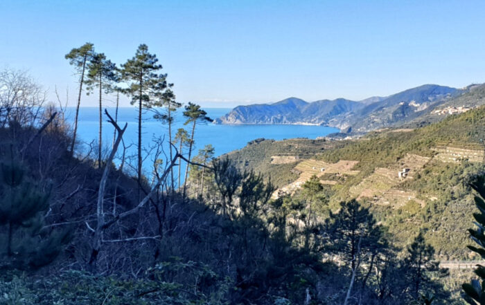 Trekking guidati in Liguria "Il Mare d'Inverno" - Il 15 e 29 marzo 2026 vi aspettiamo per camminare sui sentieri panoramici delle Cinque Terre con le nostre guide ambientali escursionistiche.