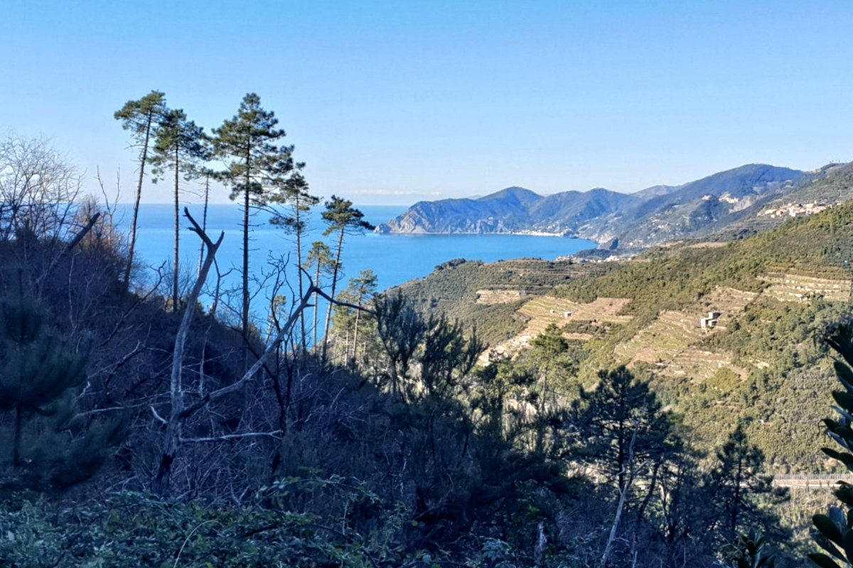 Trekking guidati in Liguria "Il Mare d'Inverno" - Il 15 e 29 marzo 2026 vi aspettiamo per camminare sui sentieri panoramici delle Cinque Terre con le nostre guide ambientali escursionistiche.